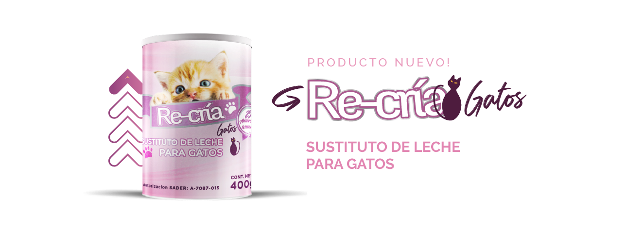 Sustituto de leche para gatos, Recría Gatos